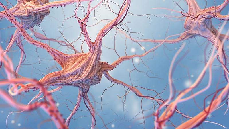 3D render of neurons on blue background